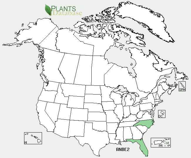 pineland allamanda range map u.s.