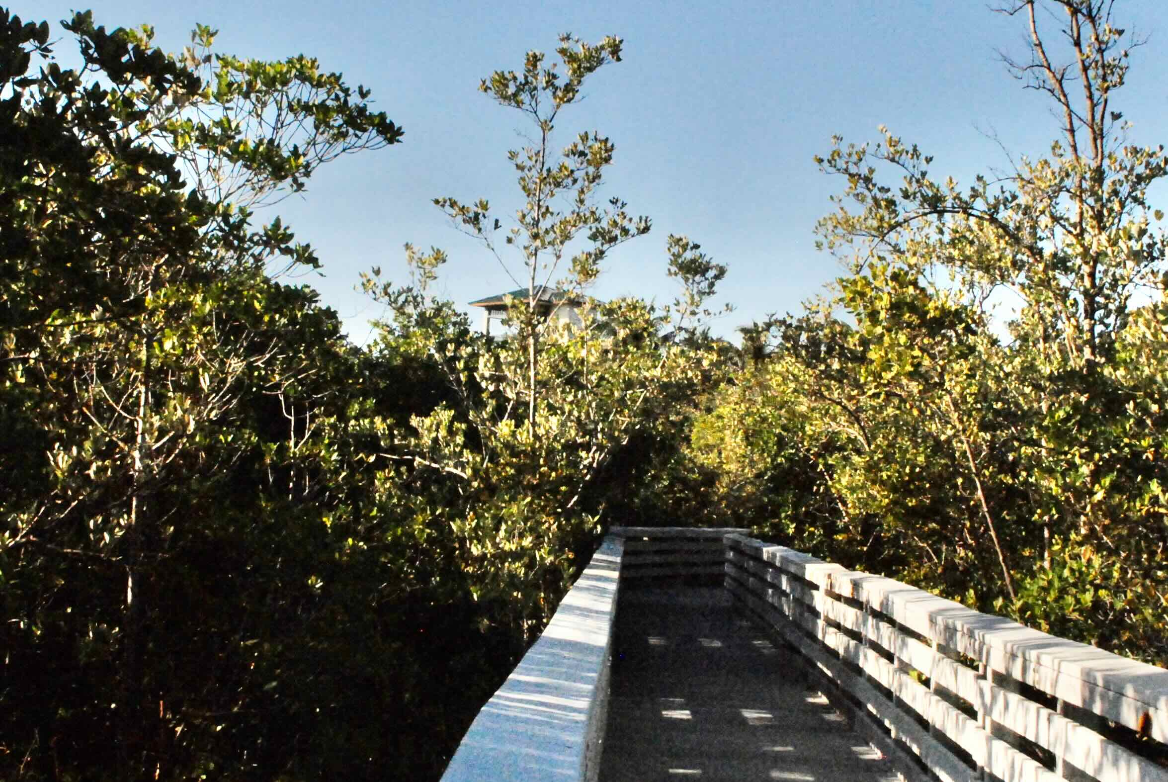 boardwalk