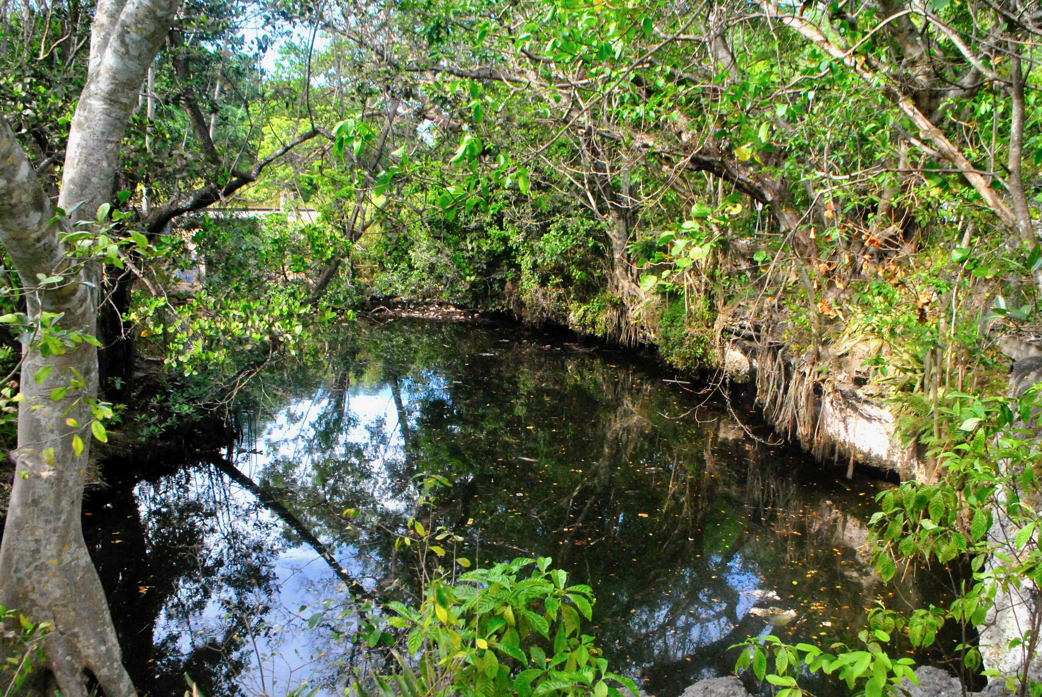 arch creek