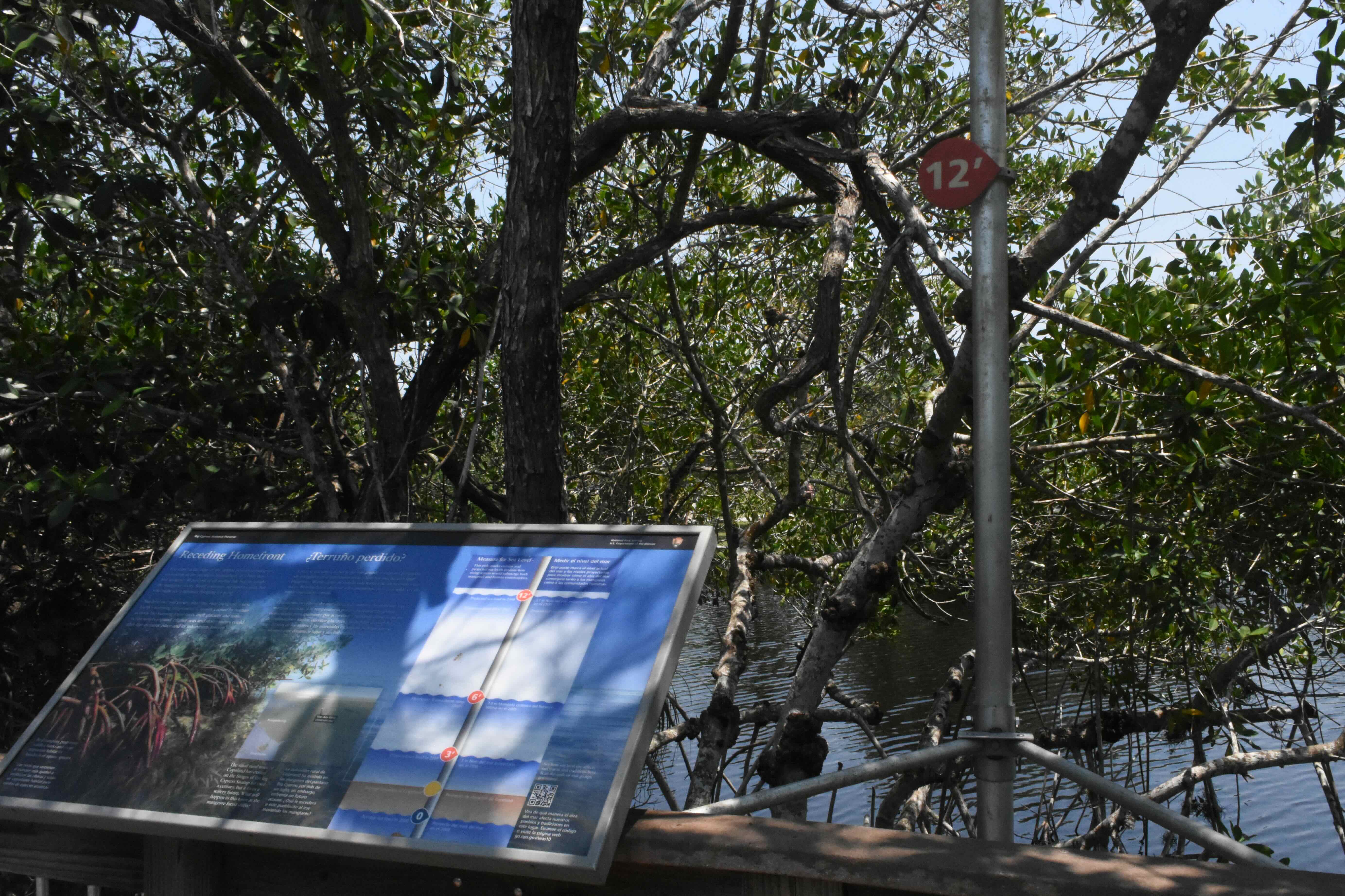 sea level interpretive sign