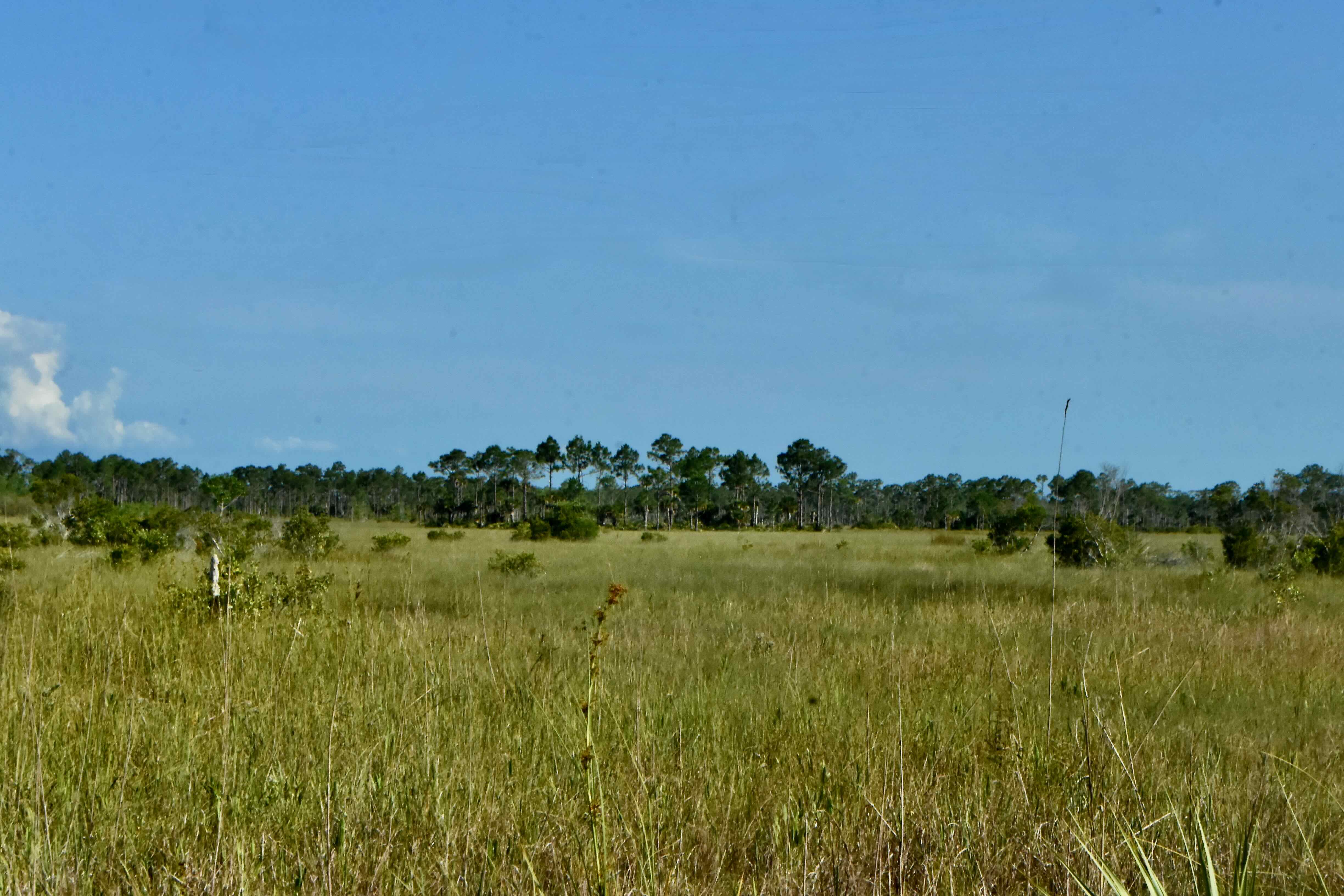 open prairie