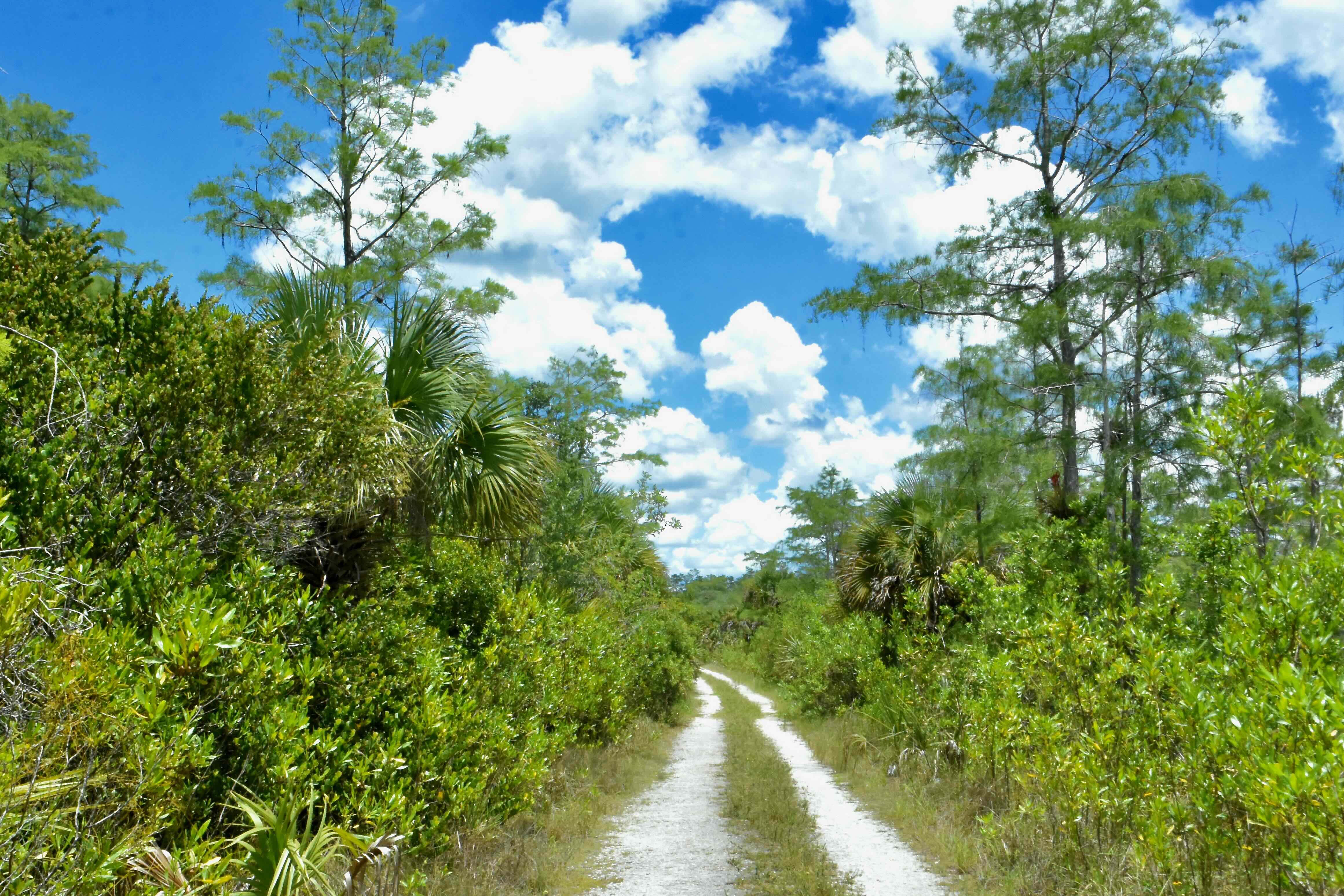 wide open trail
