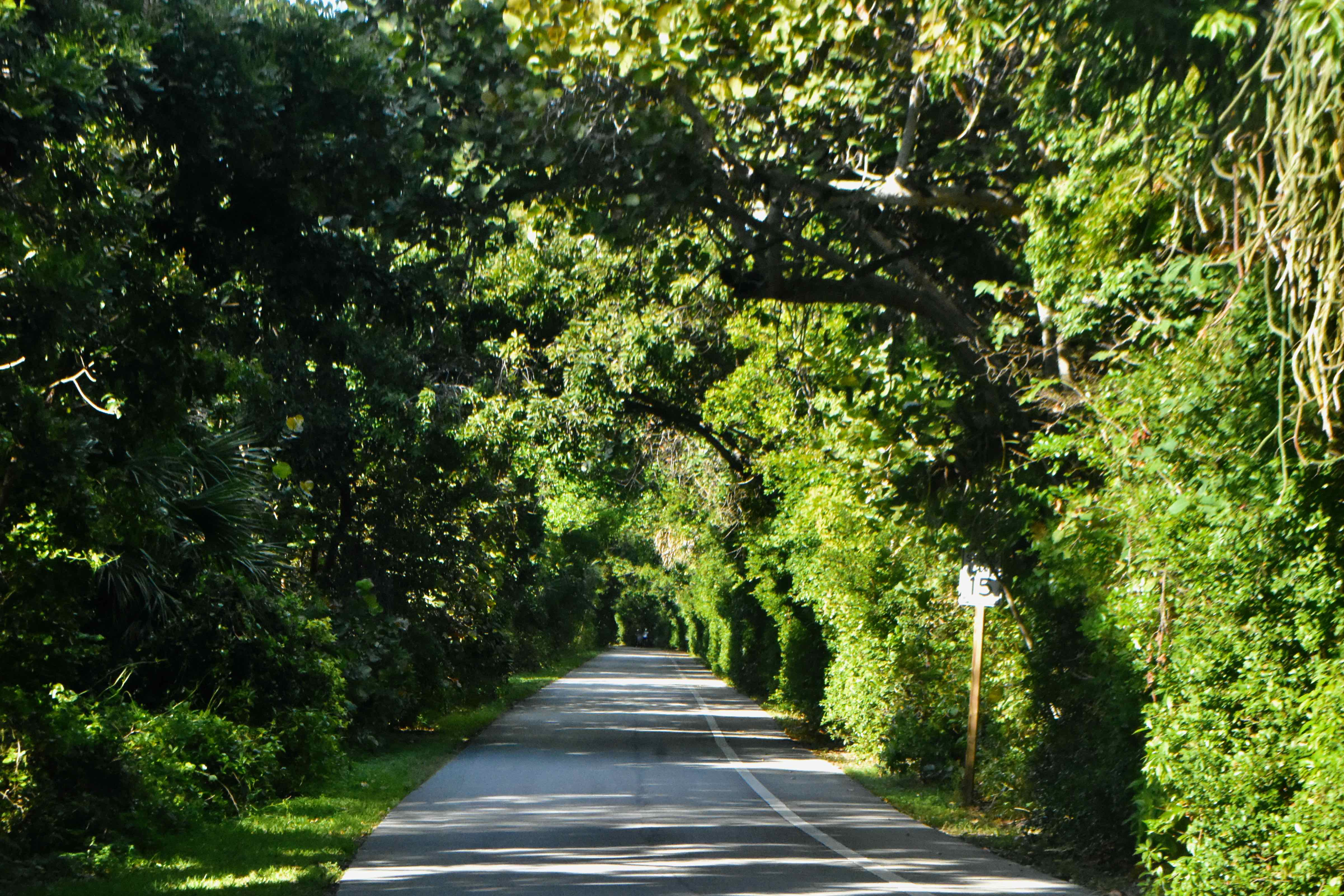 loop trail