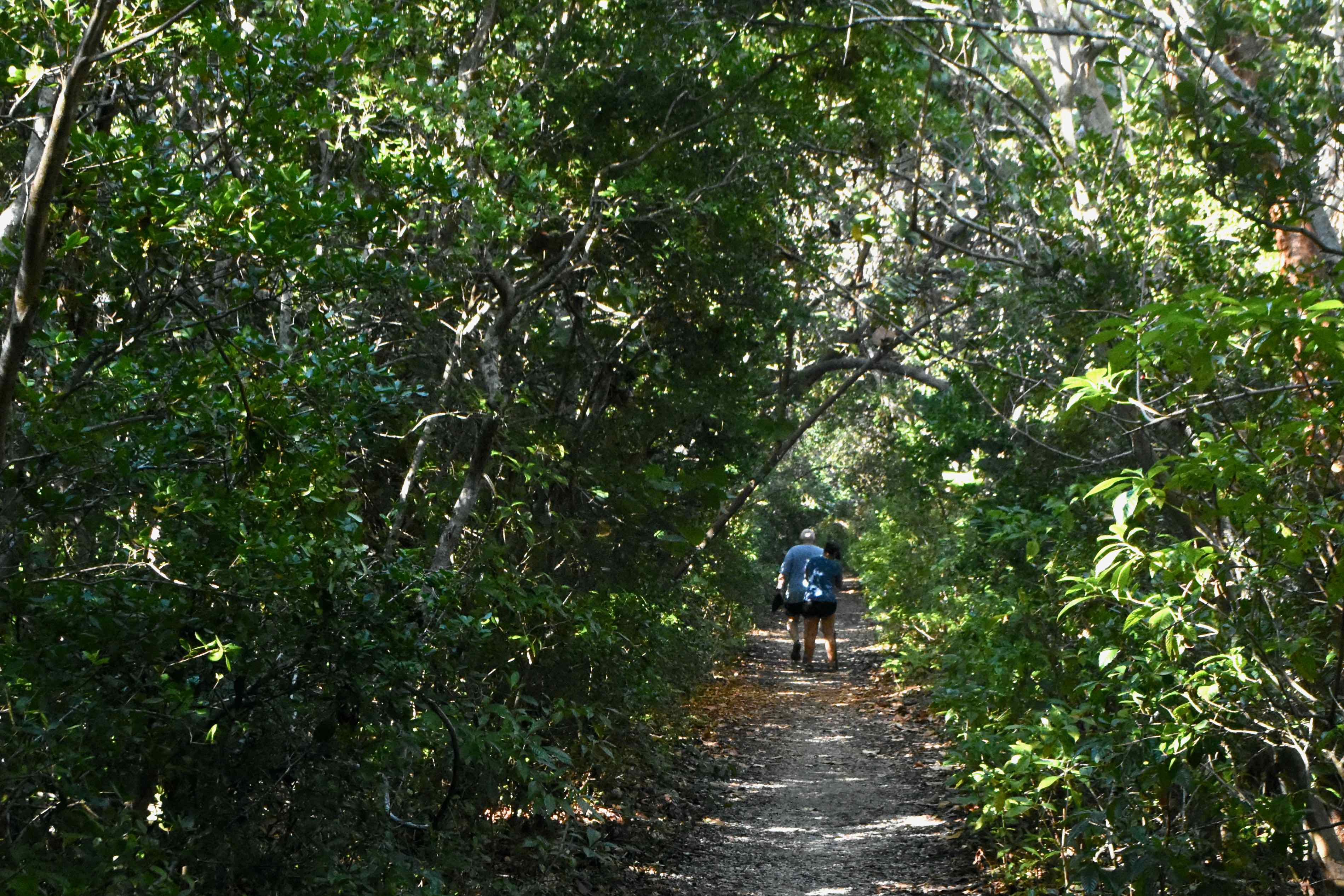 marine hammock trail