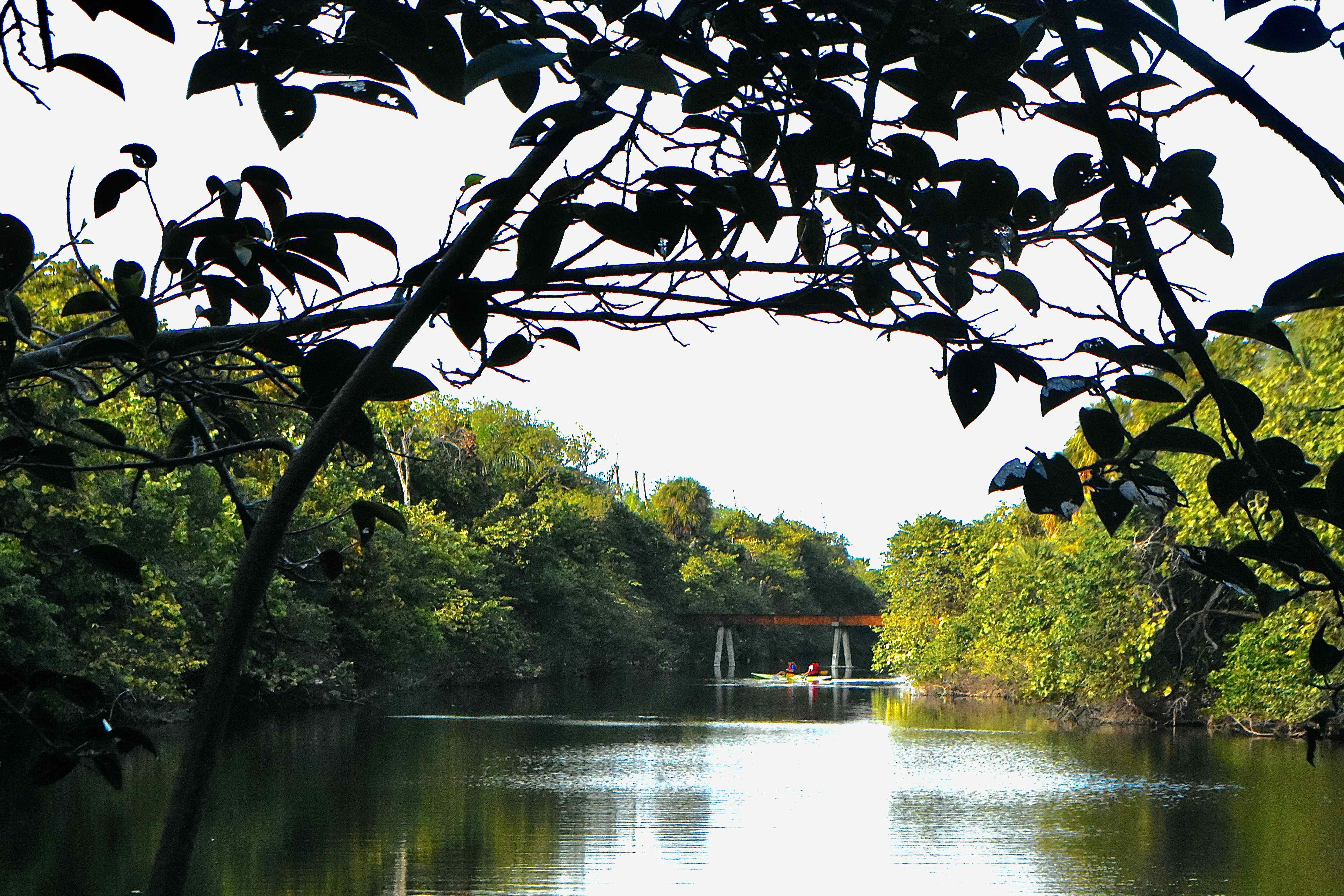 long lake