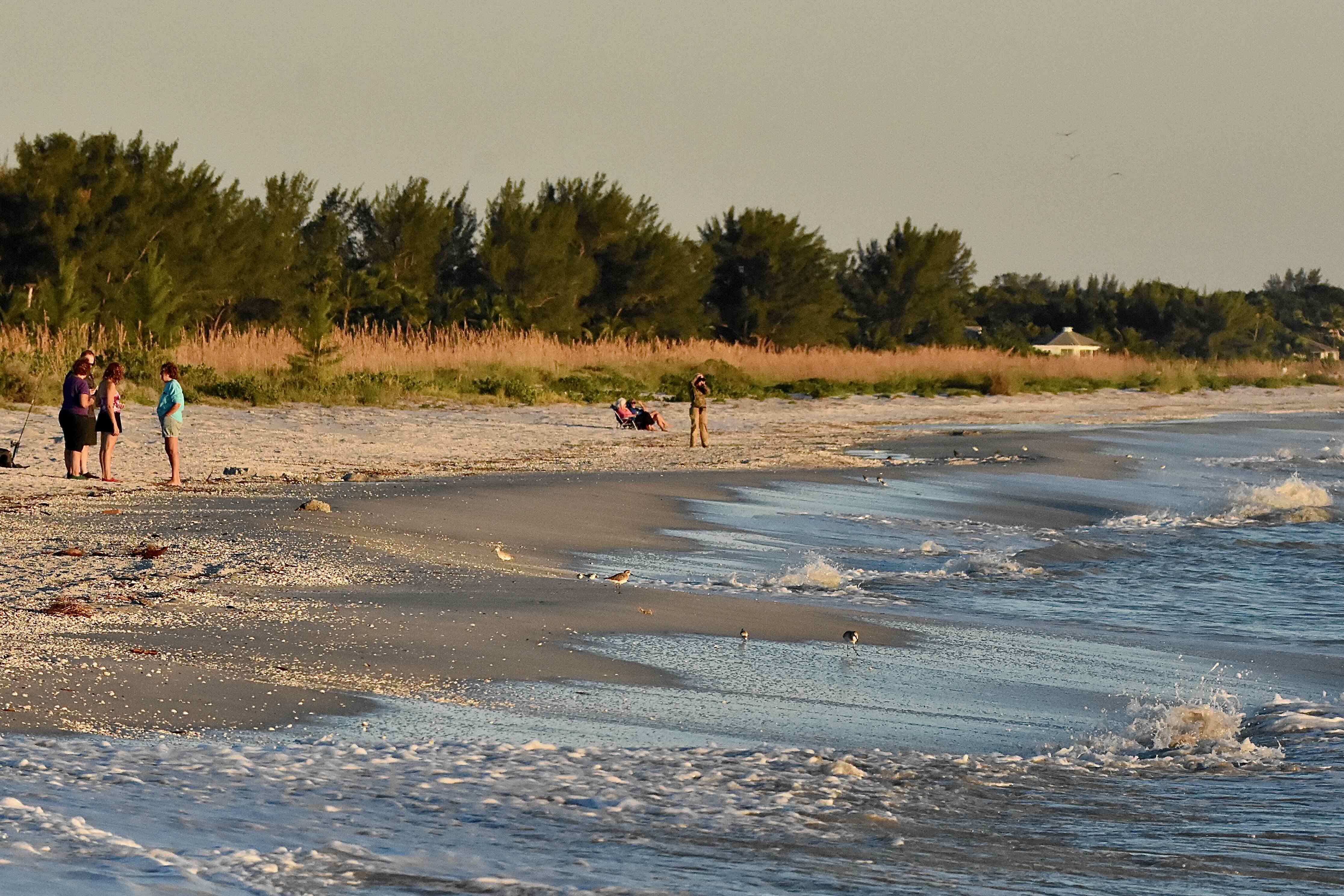 beach overview