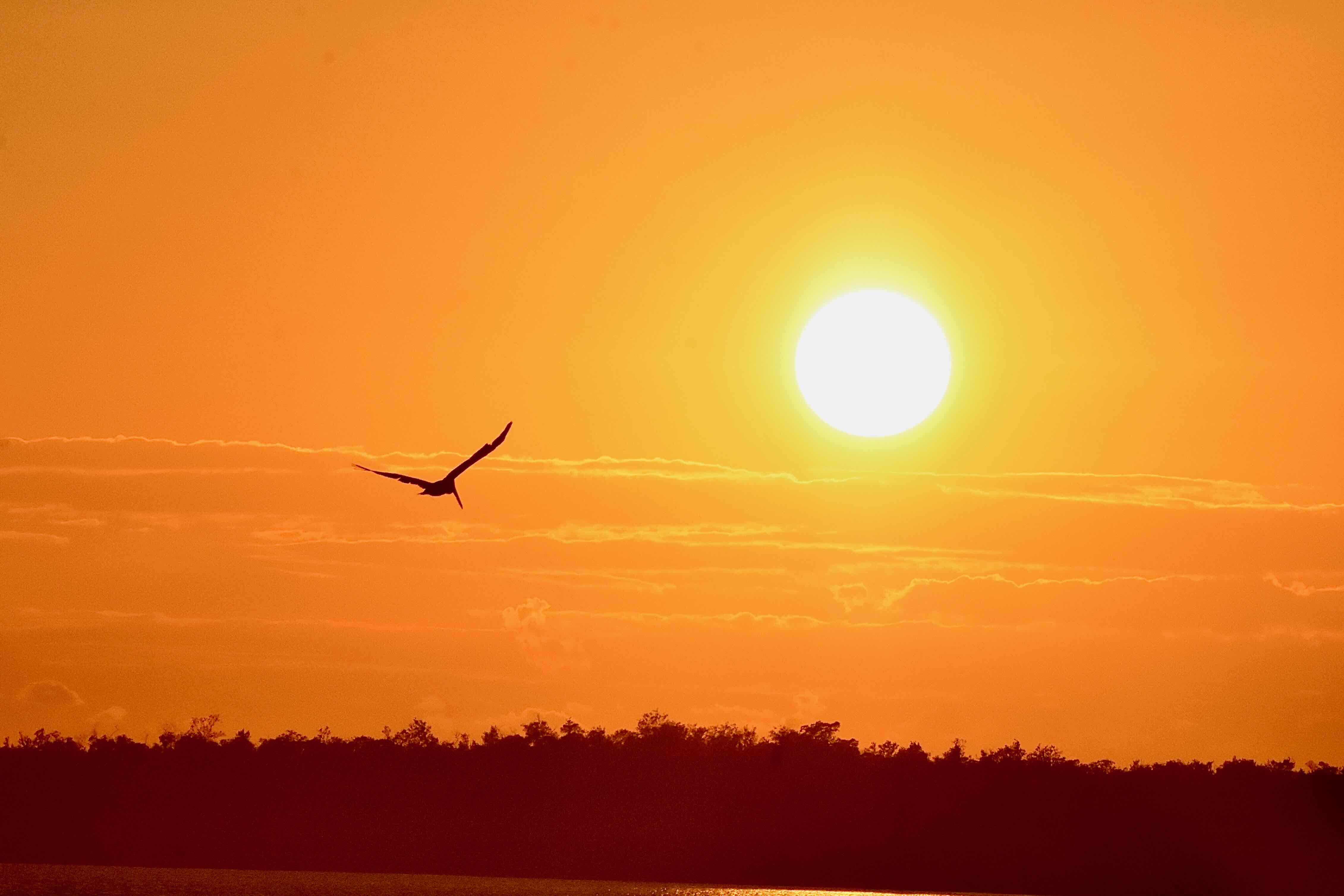 sunset over tarpon bay