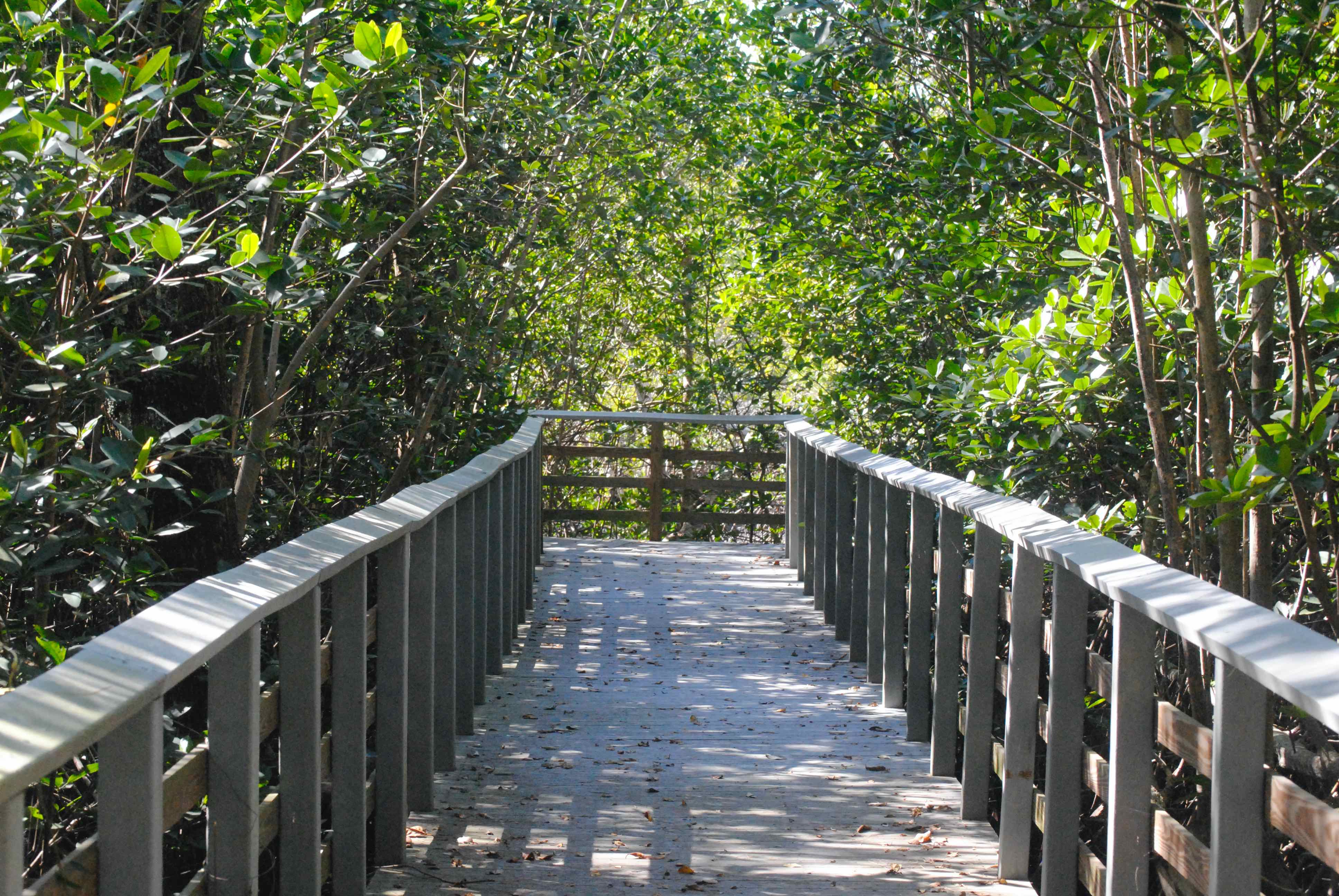 boardwalk