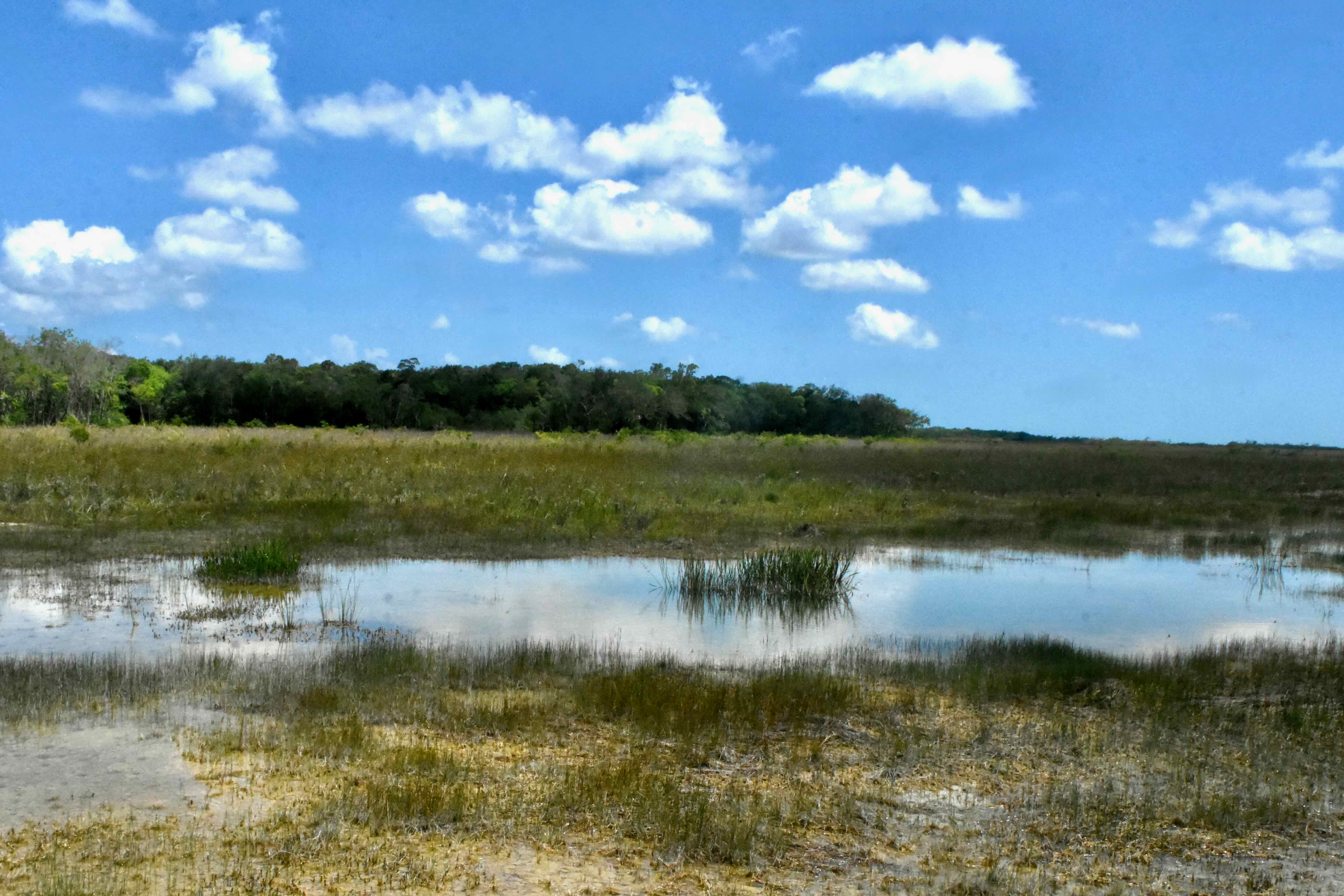 wet land