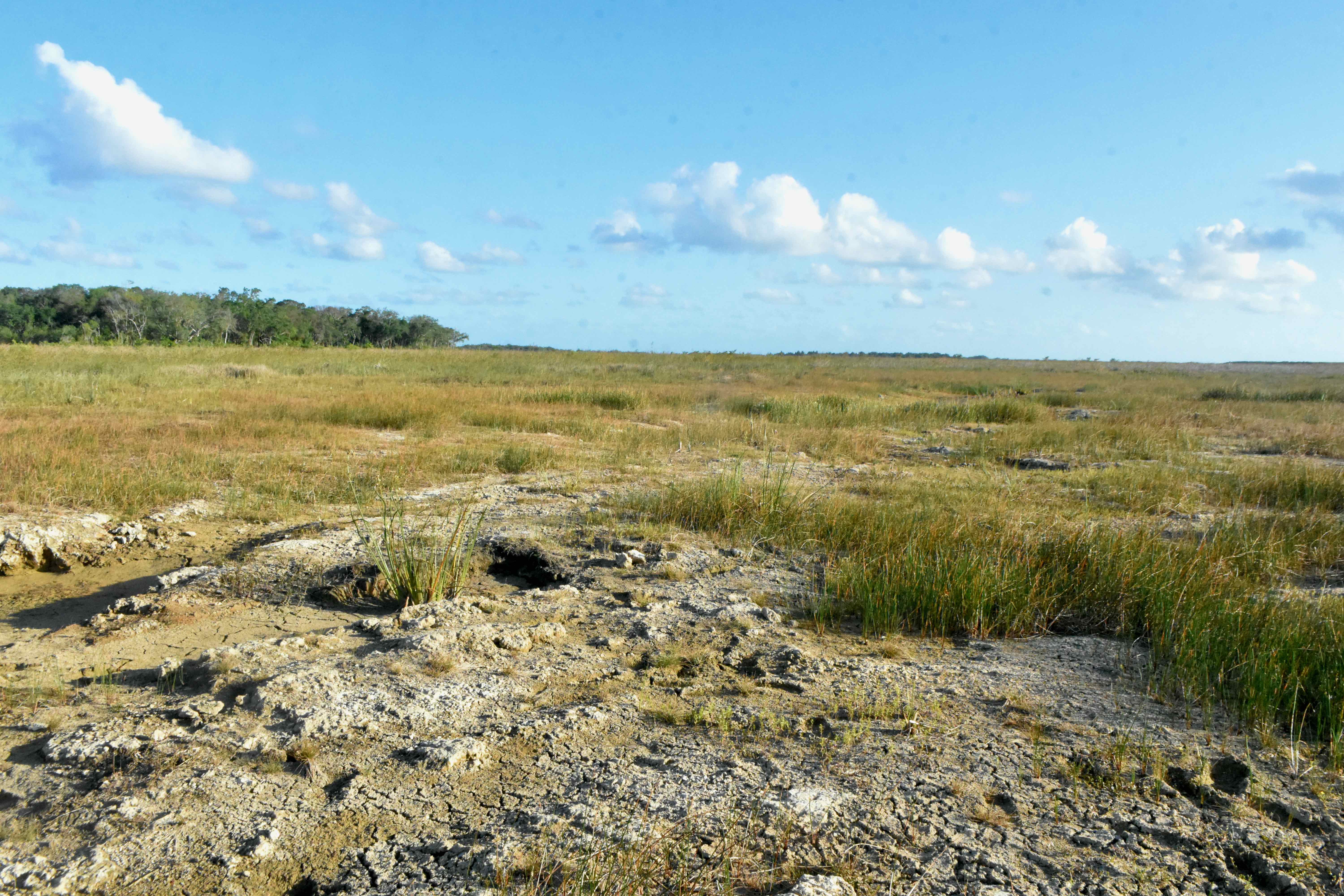 dried land