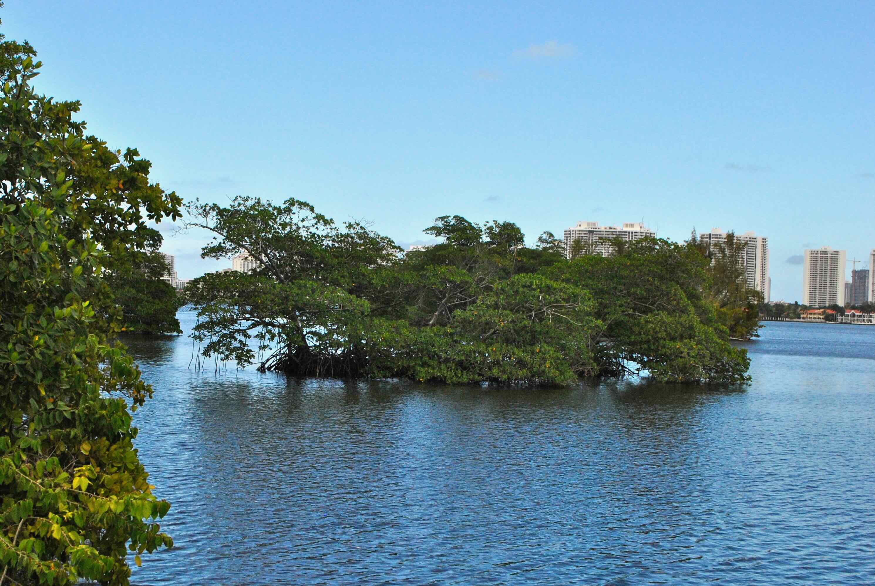 maule lake