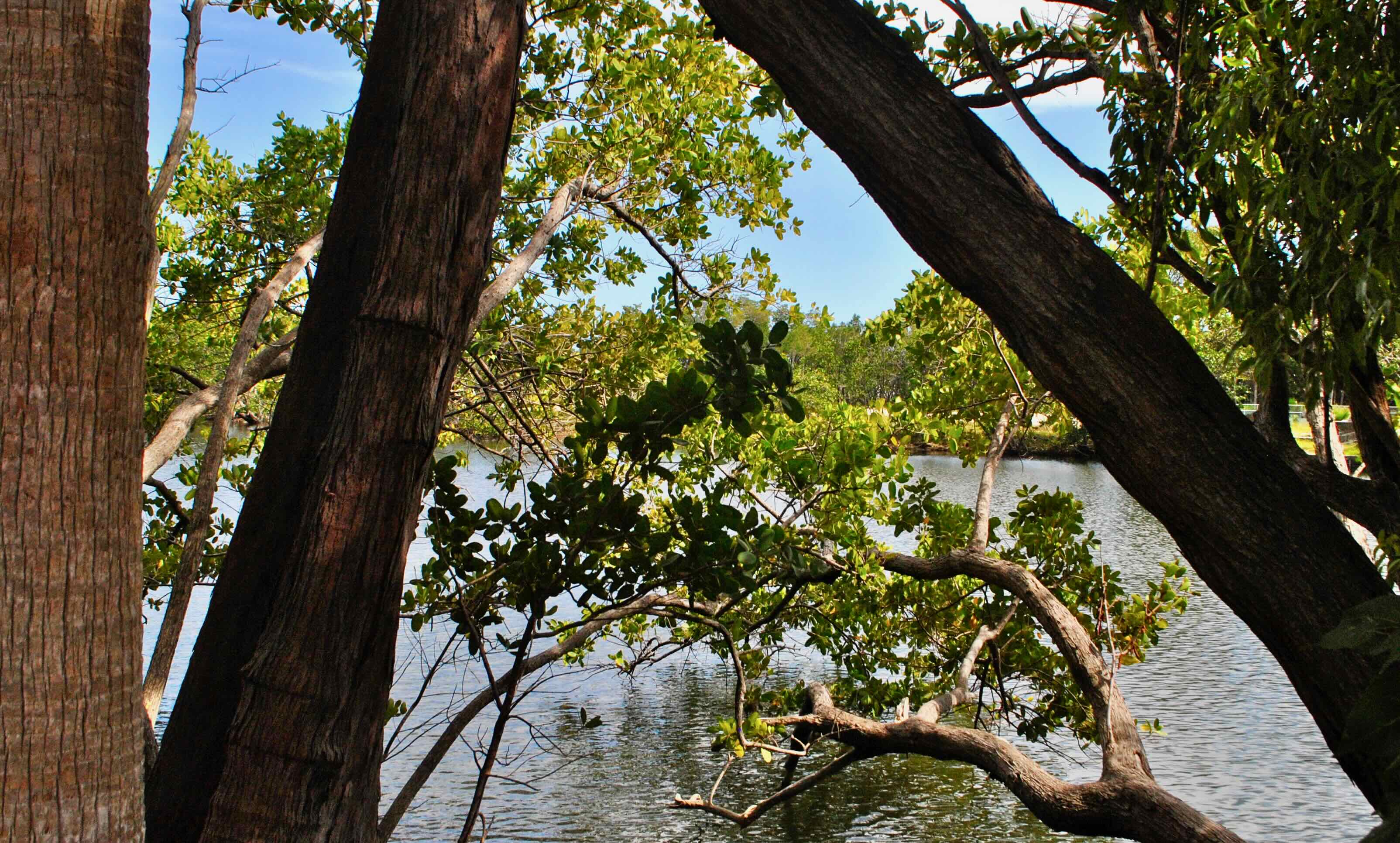 maule lake