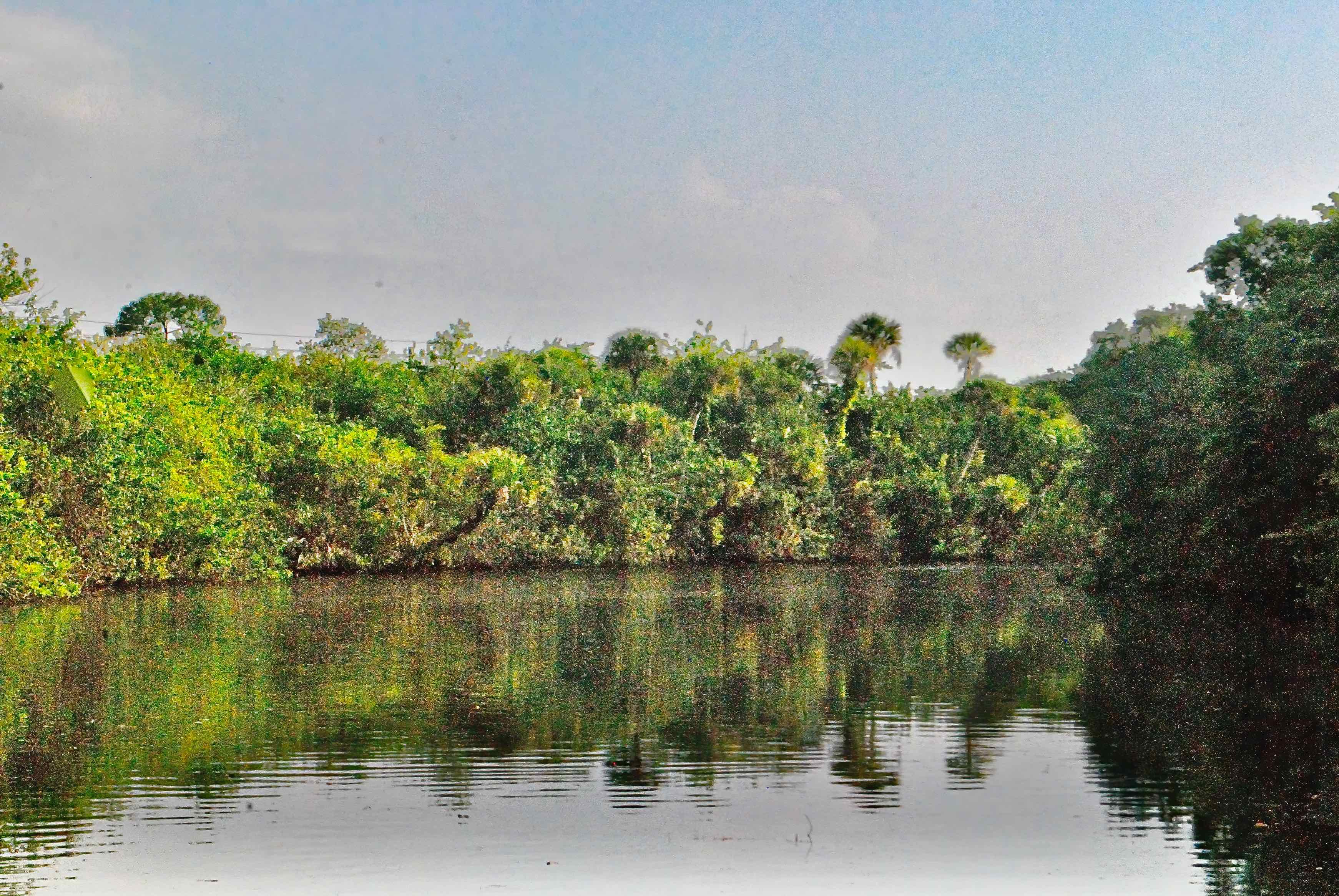 St. Luce River