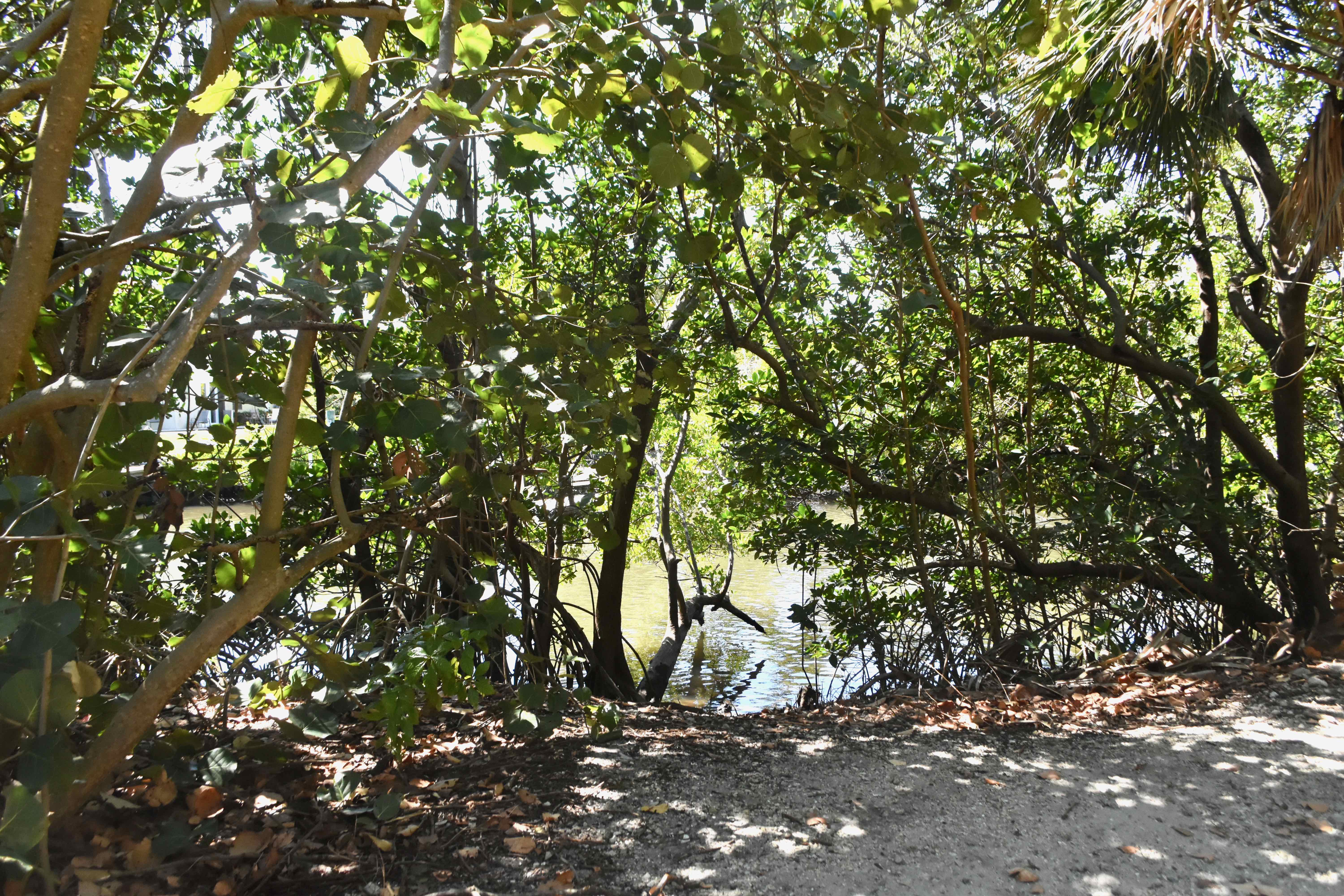 Lake Worth Lagoon