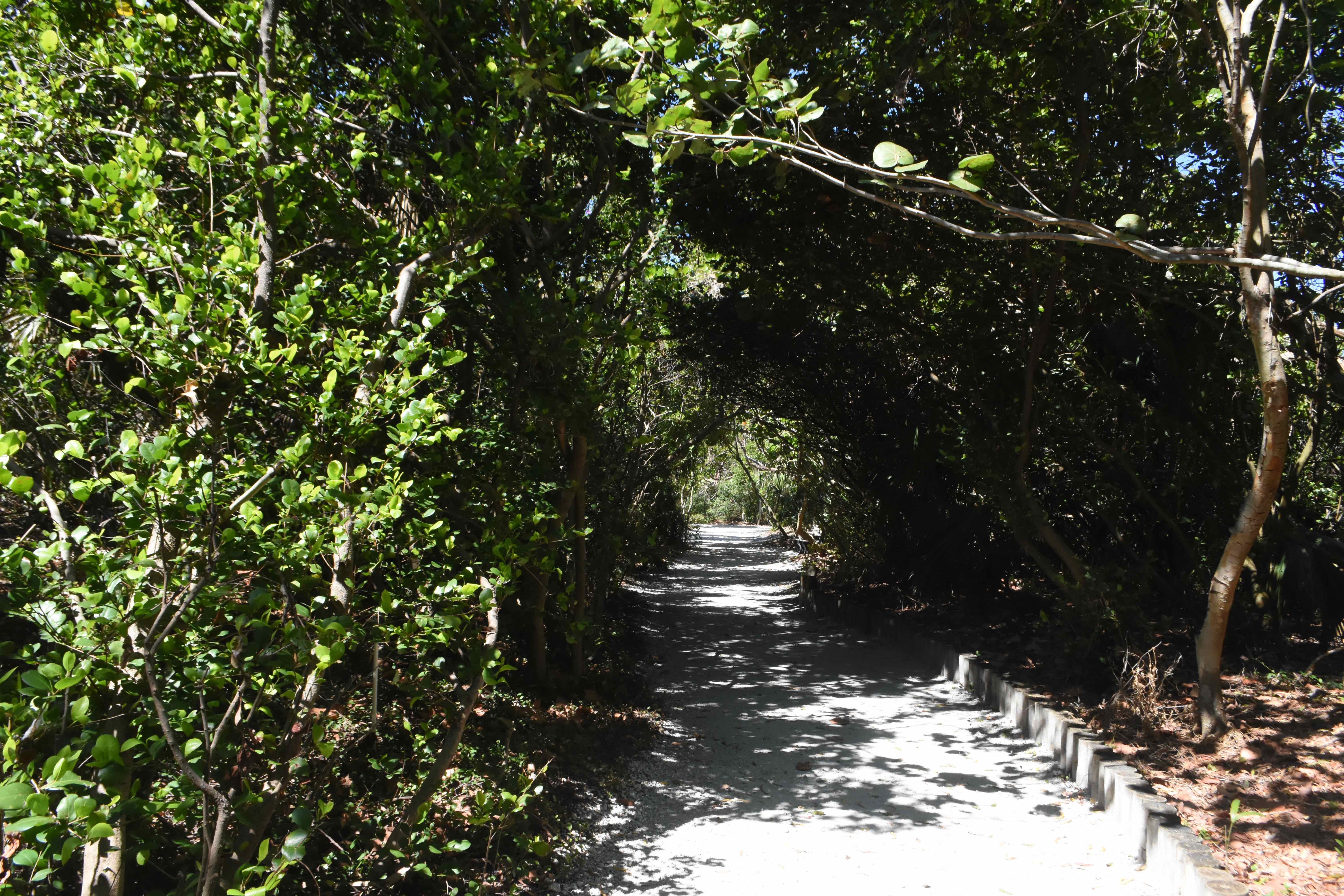 trail