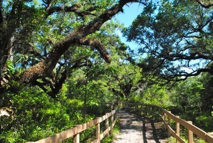 the trail