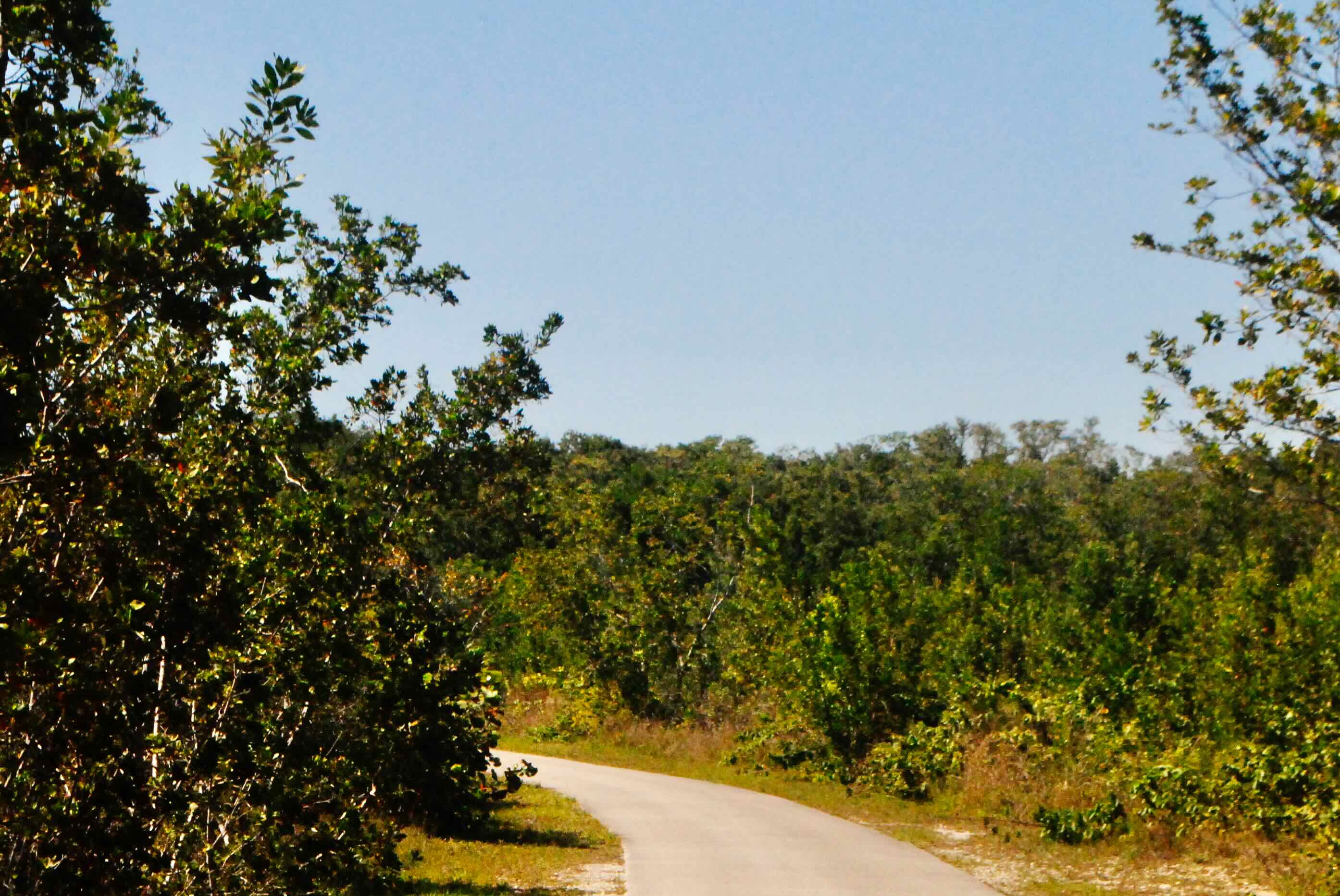 paved trail