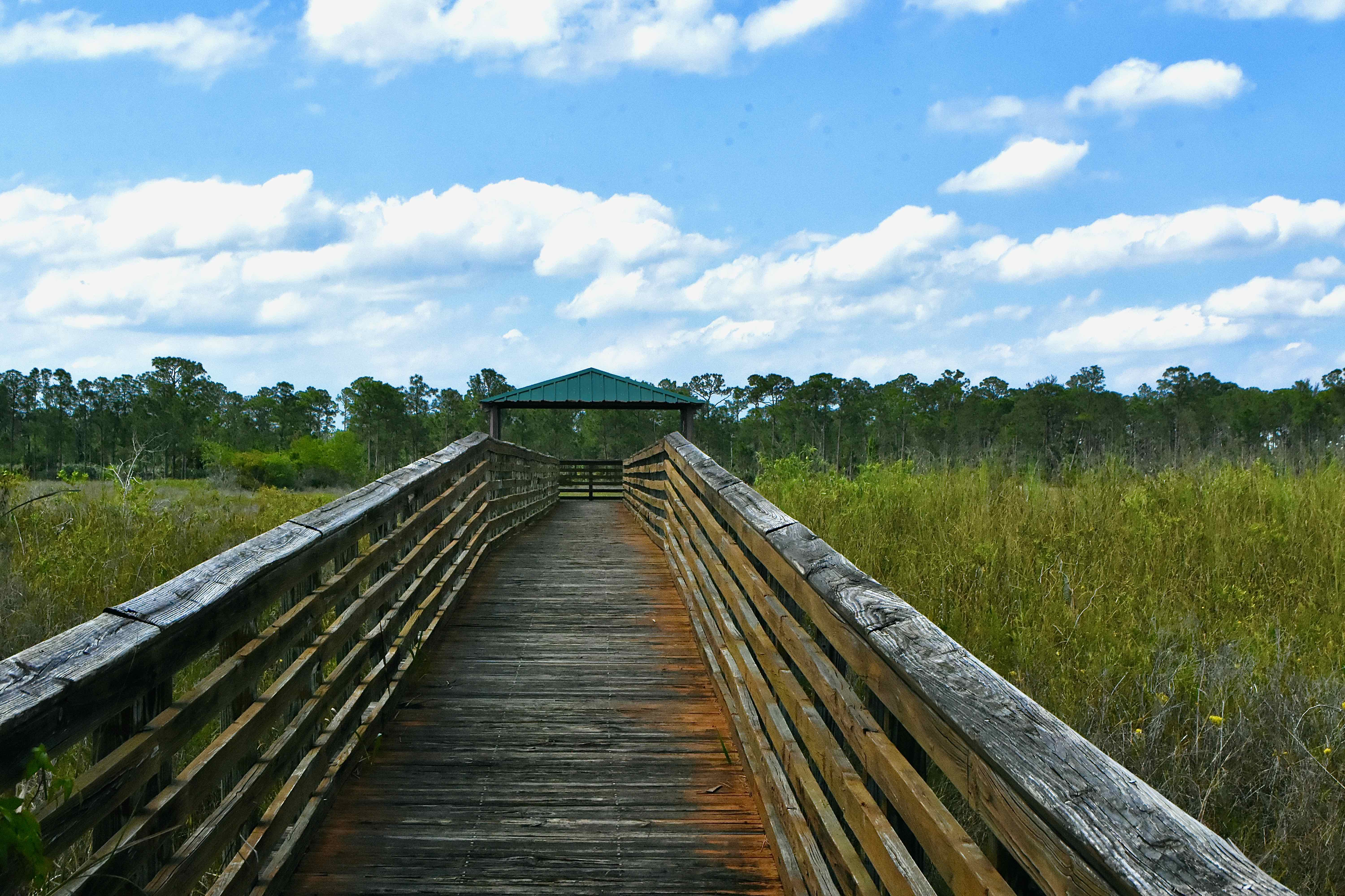 observation platform