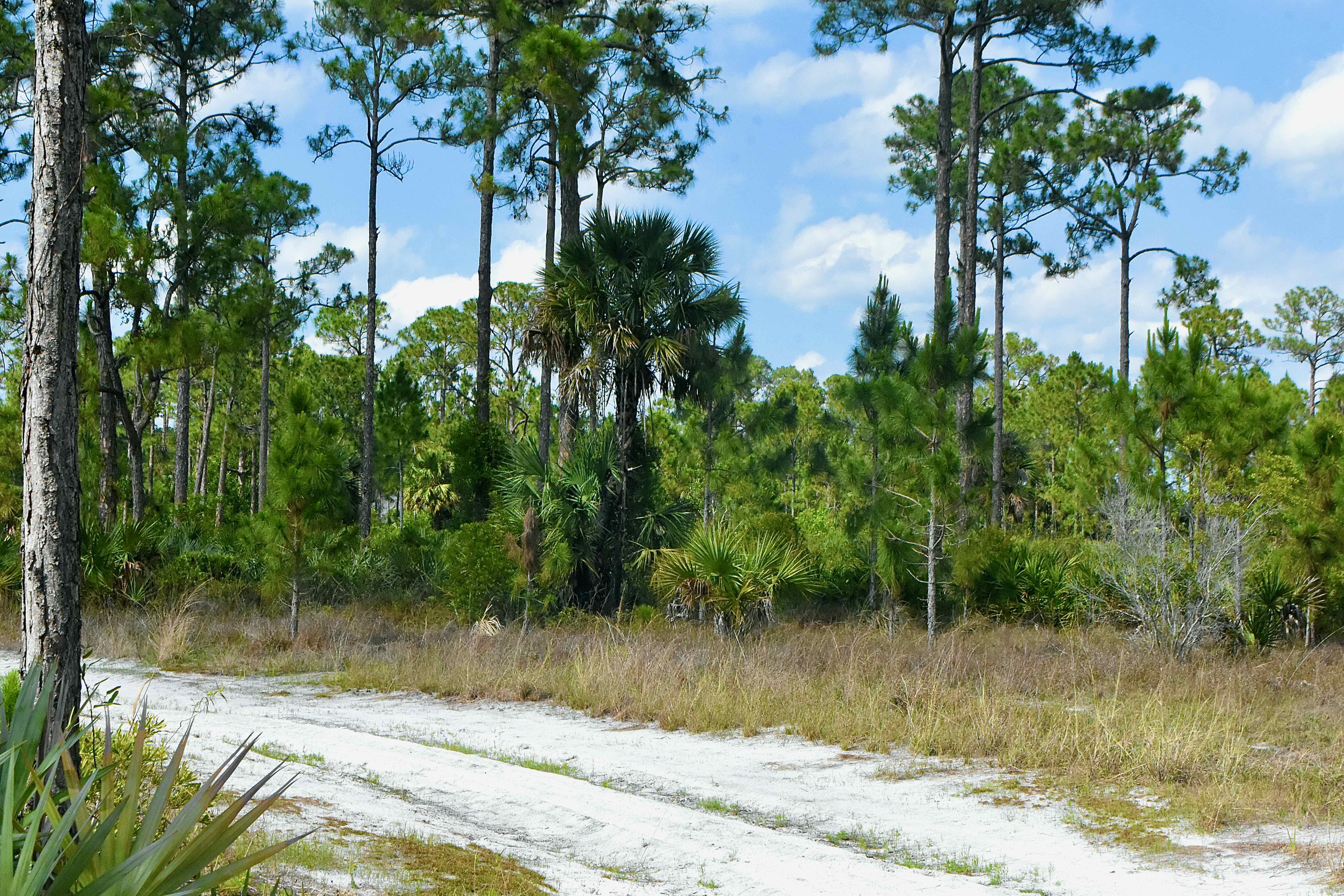 hiking trail
