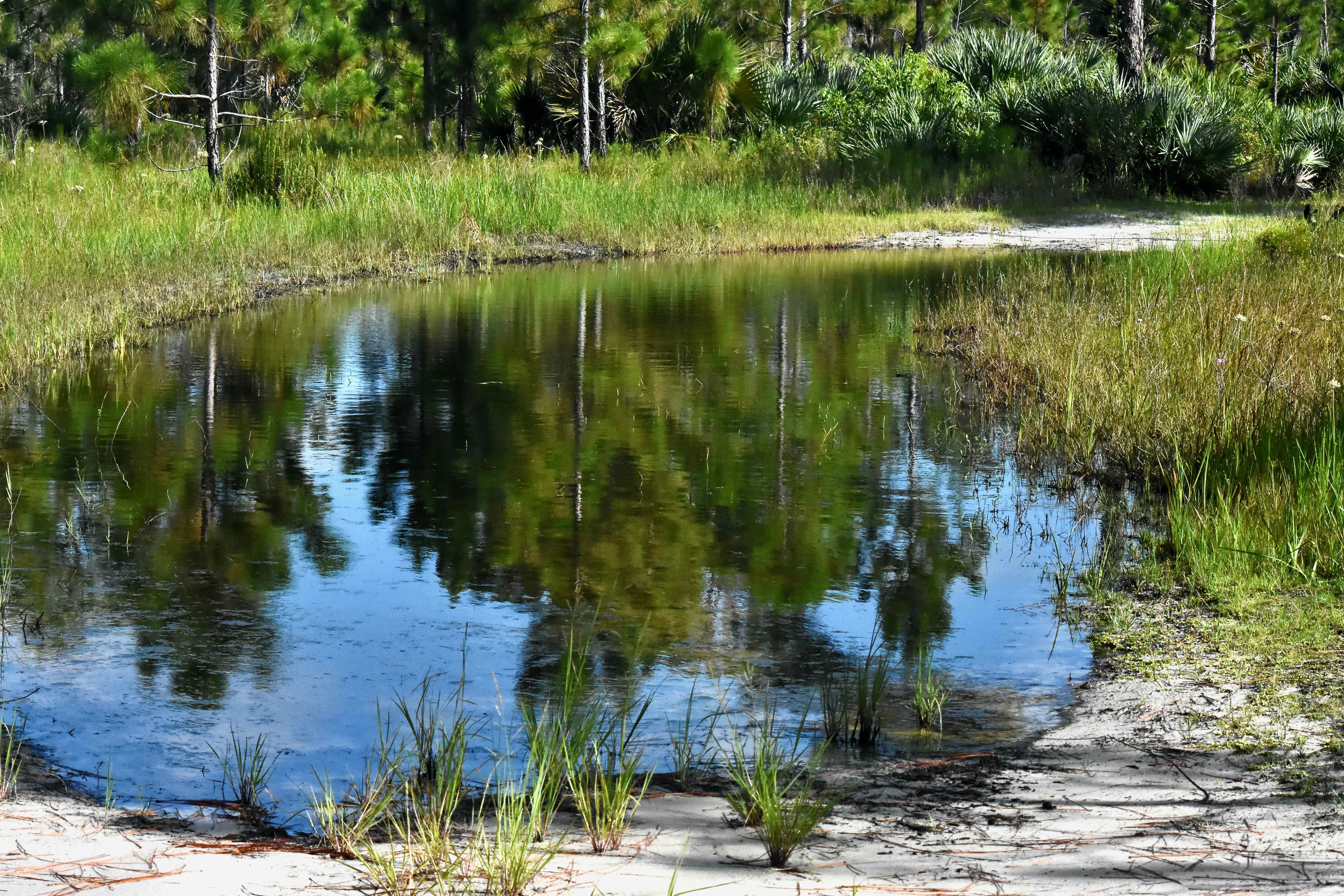 large puddle
