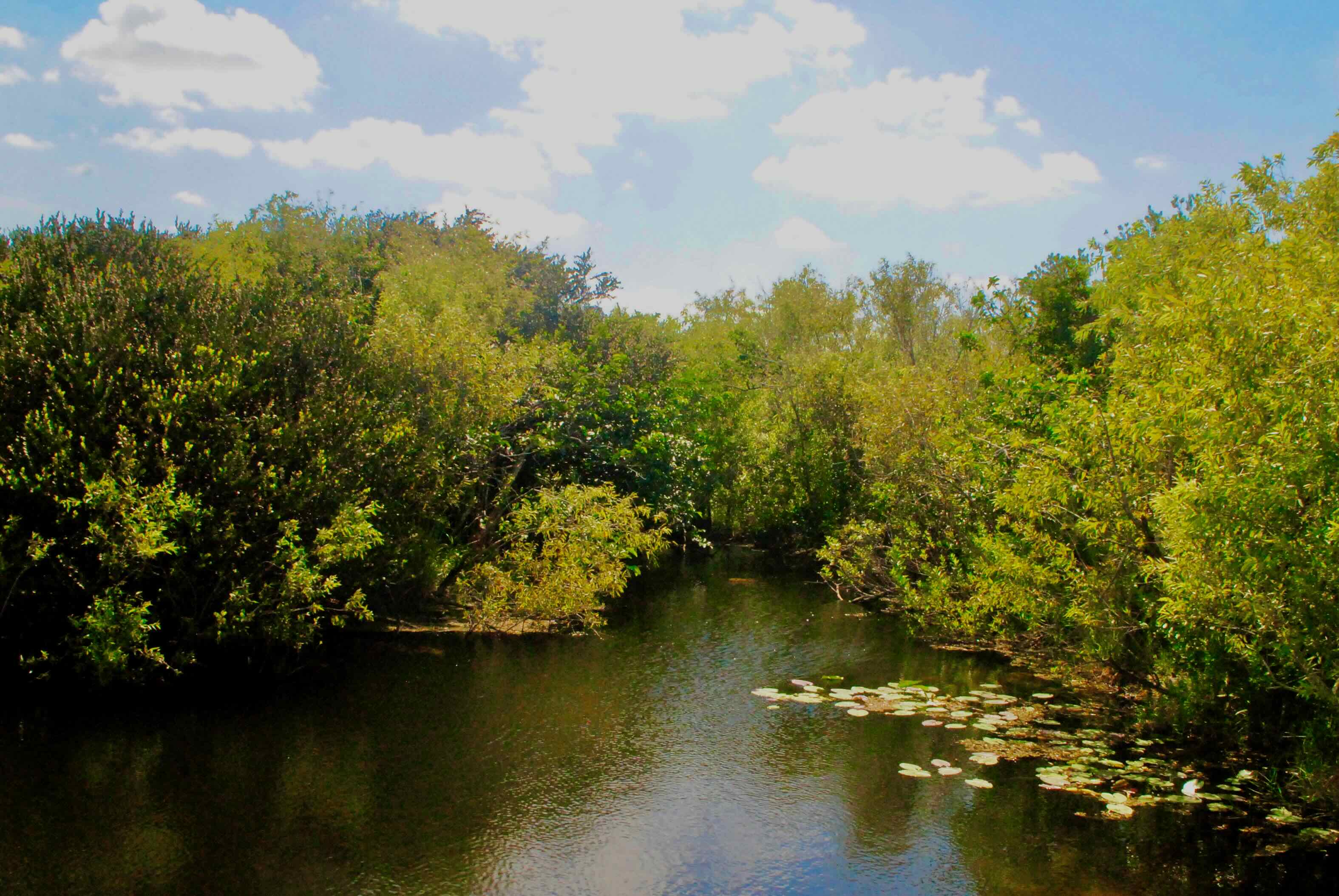 canal