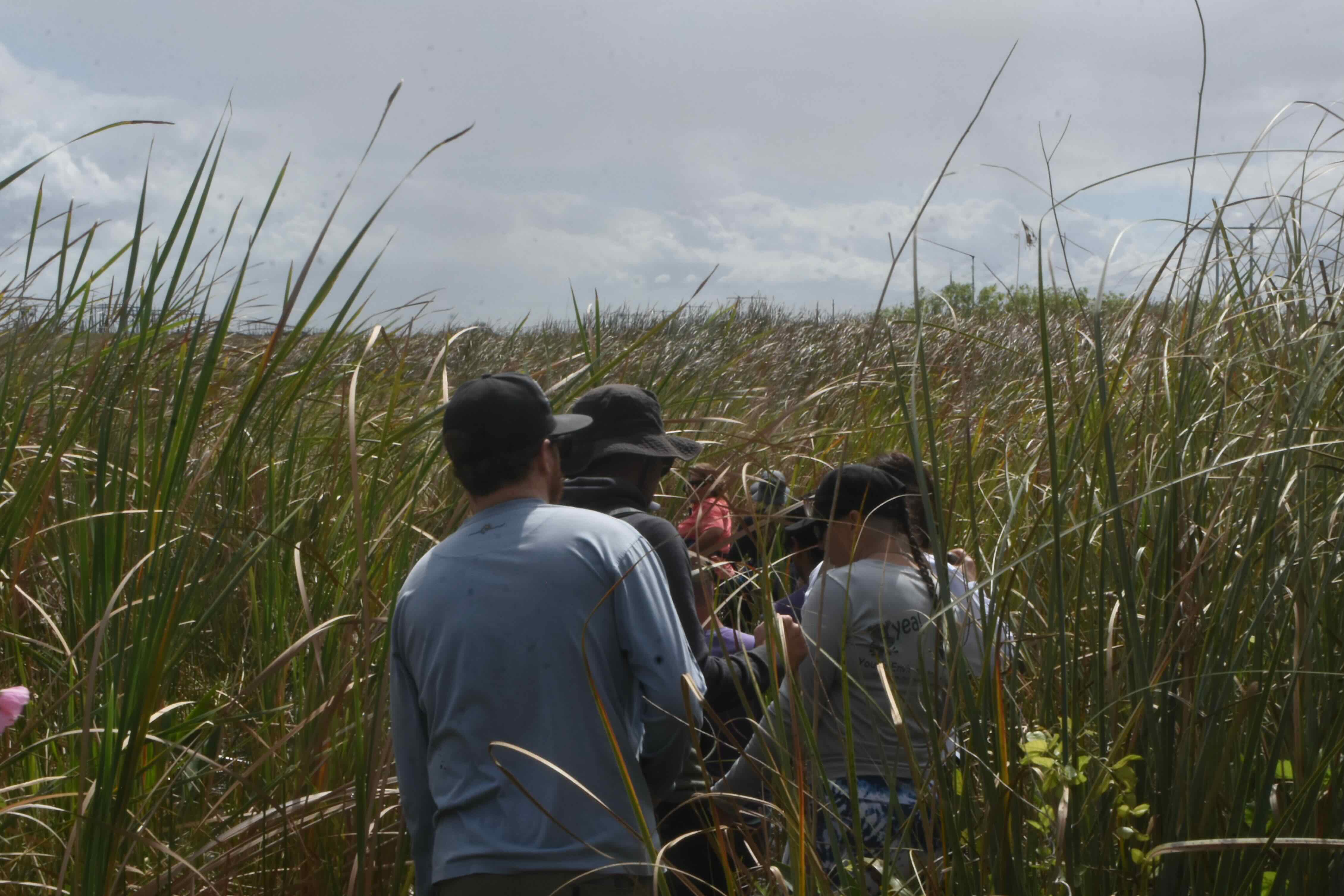 hiking the everglades