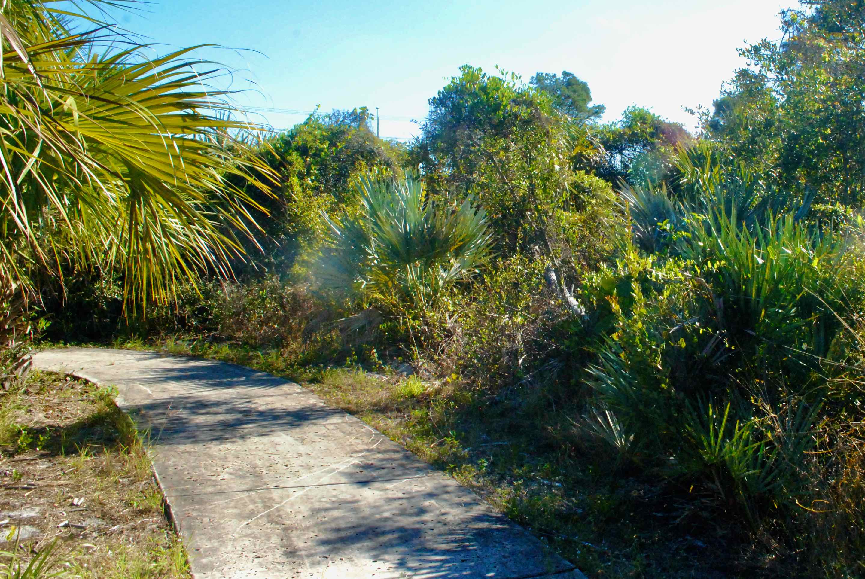 concrete walkway