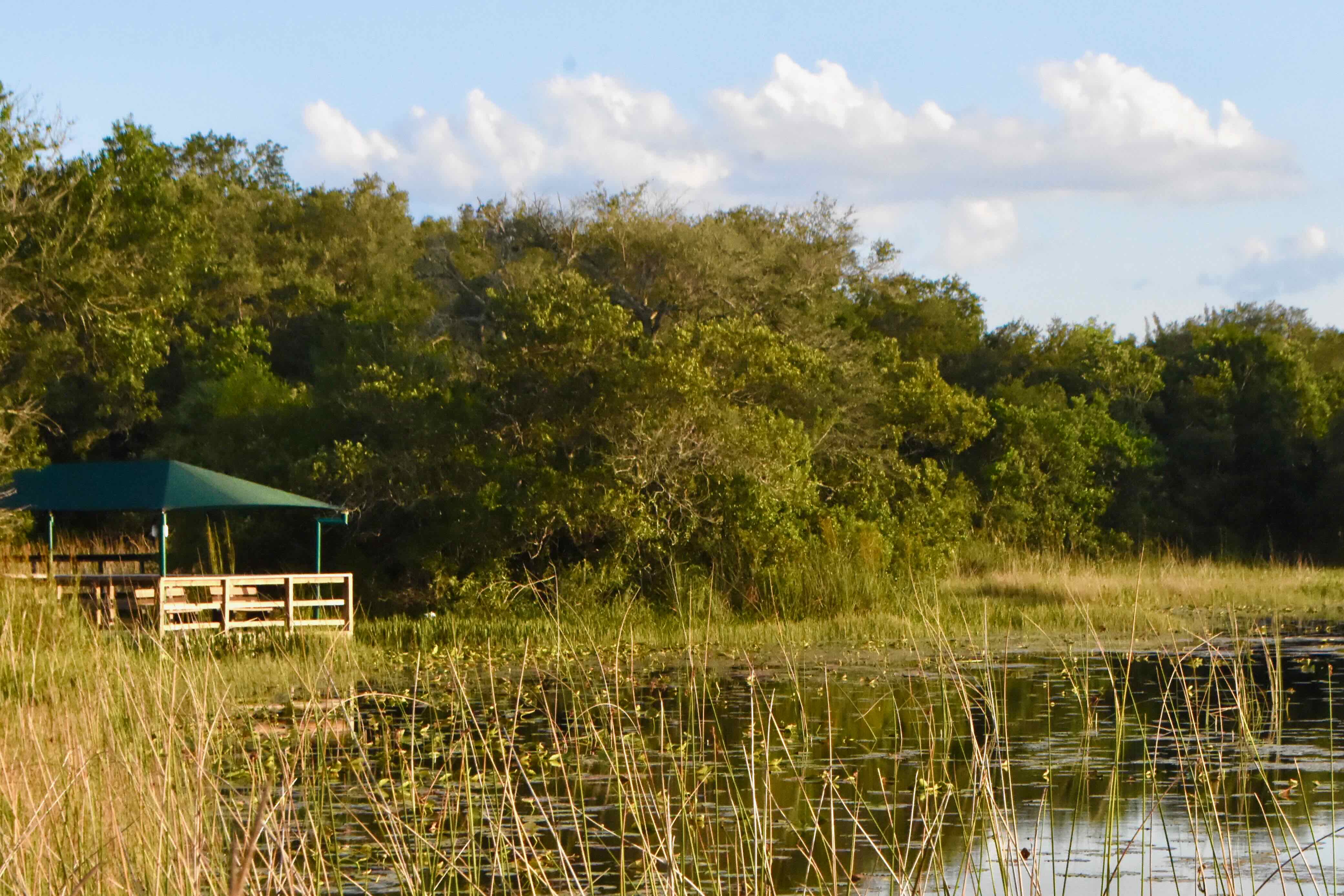 wetlands