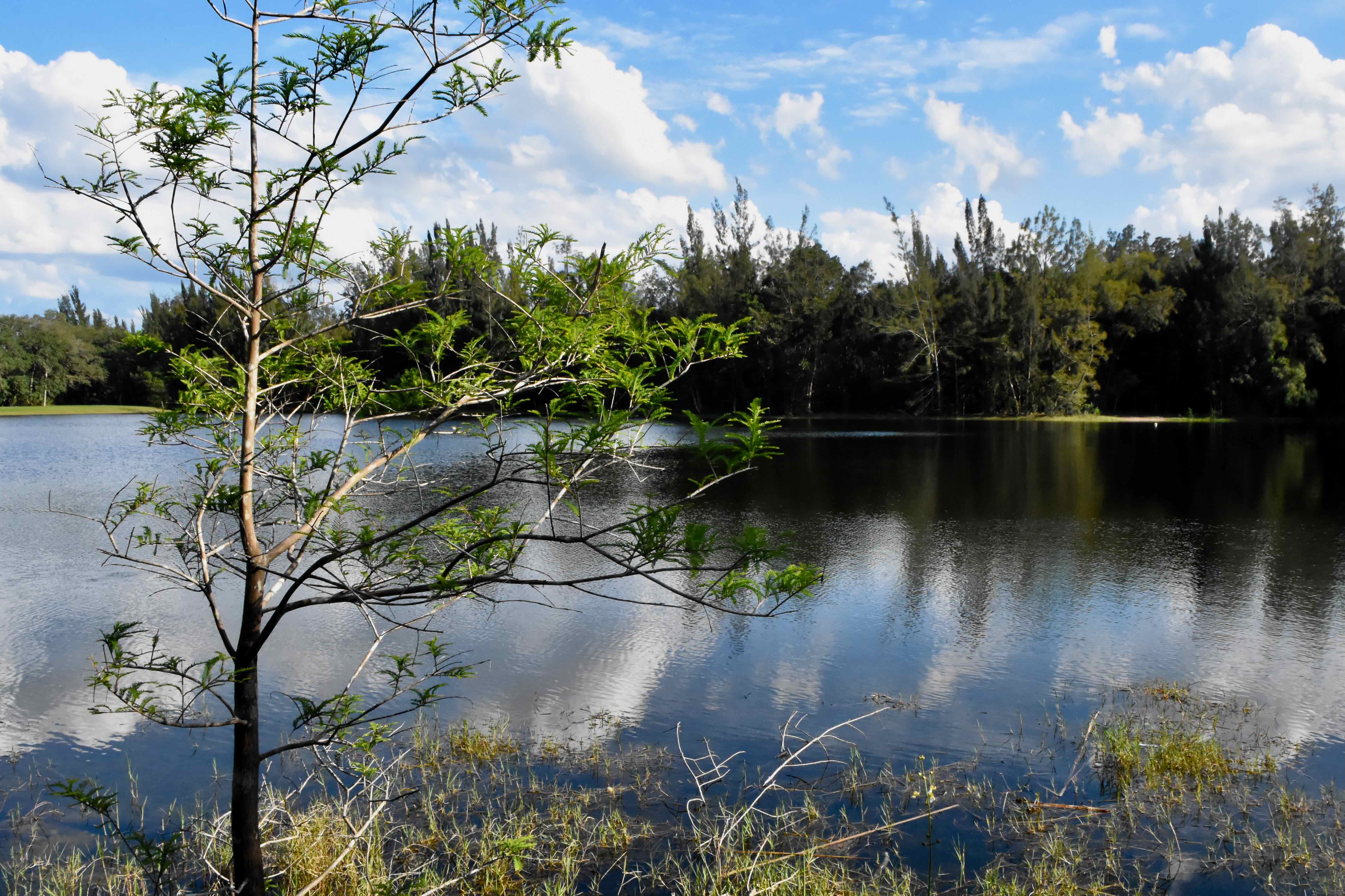 borrow pit lake