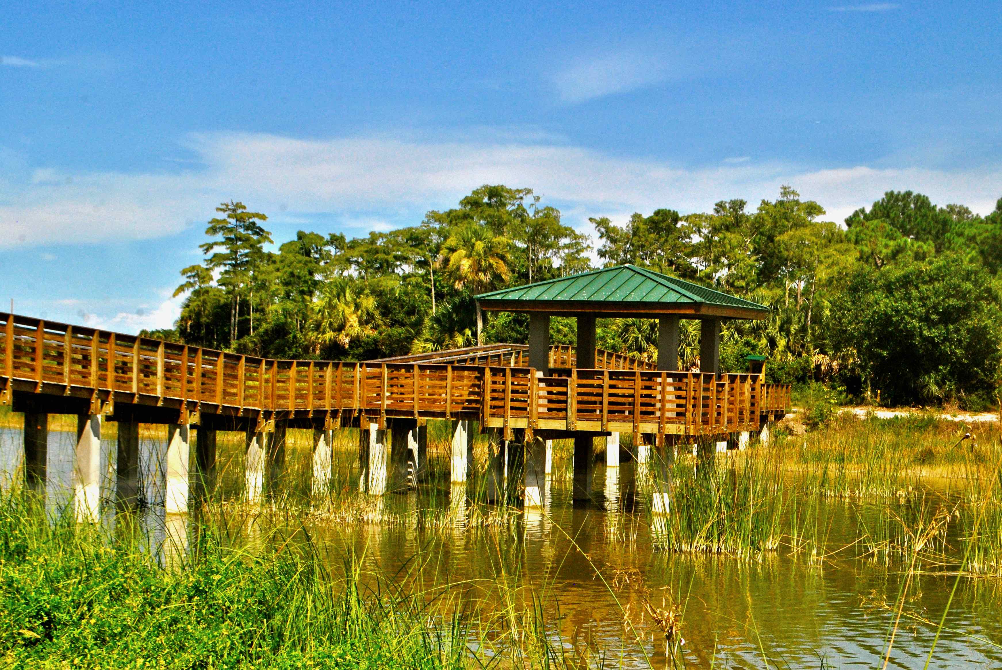 bridge over wetland