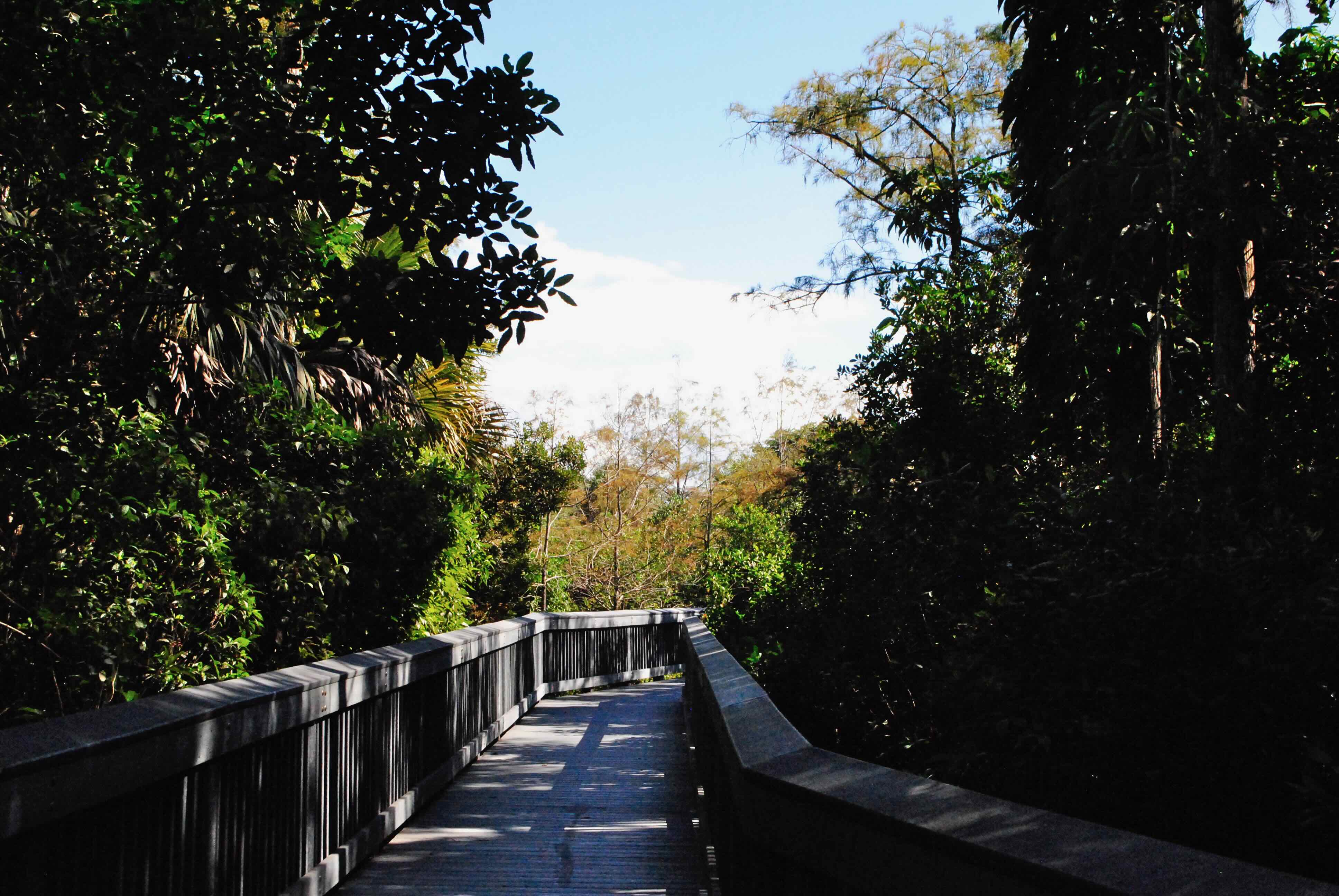 boardwalk