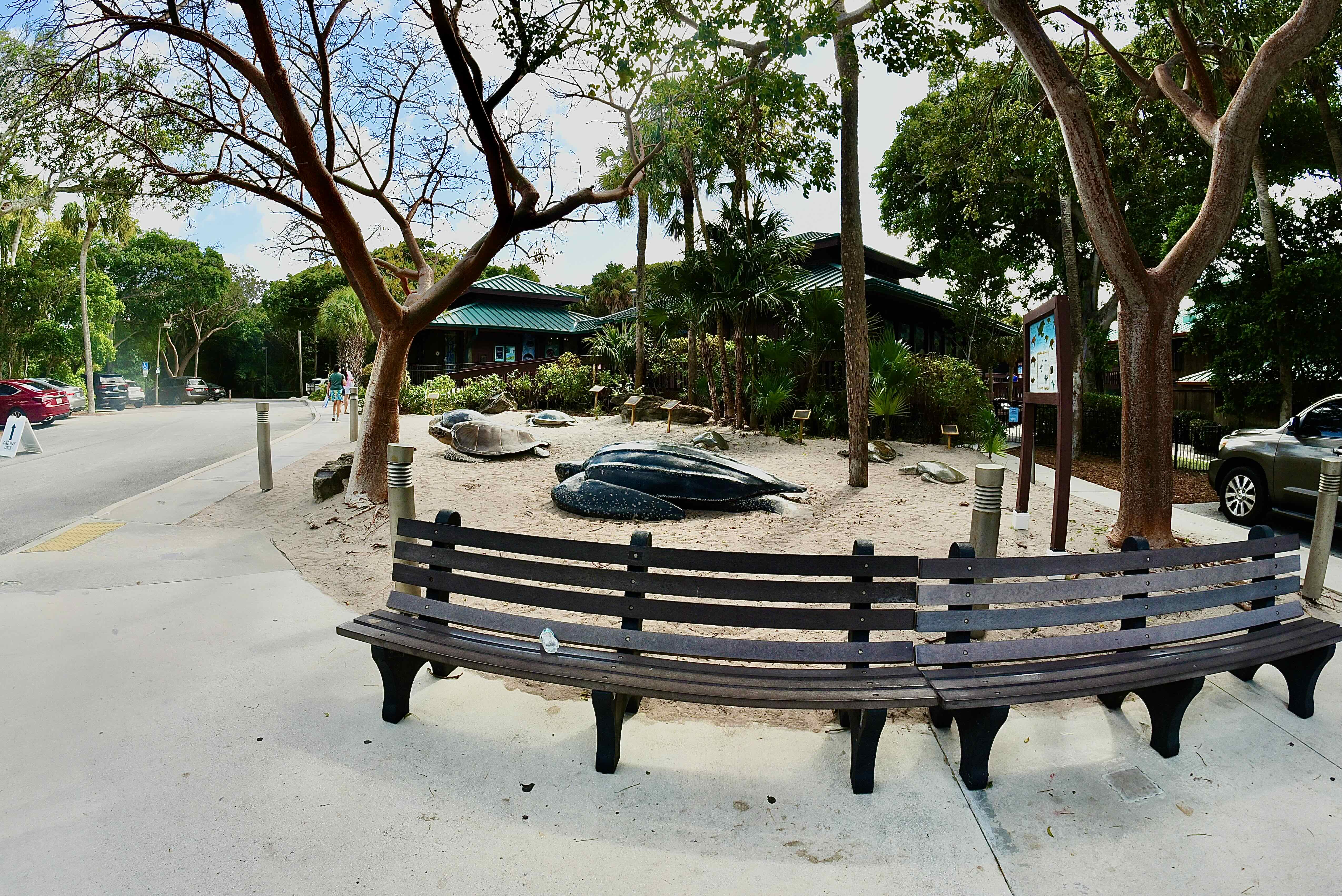 gumbo limbo overview