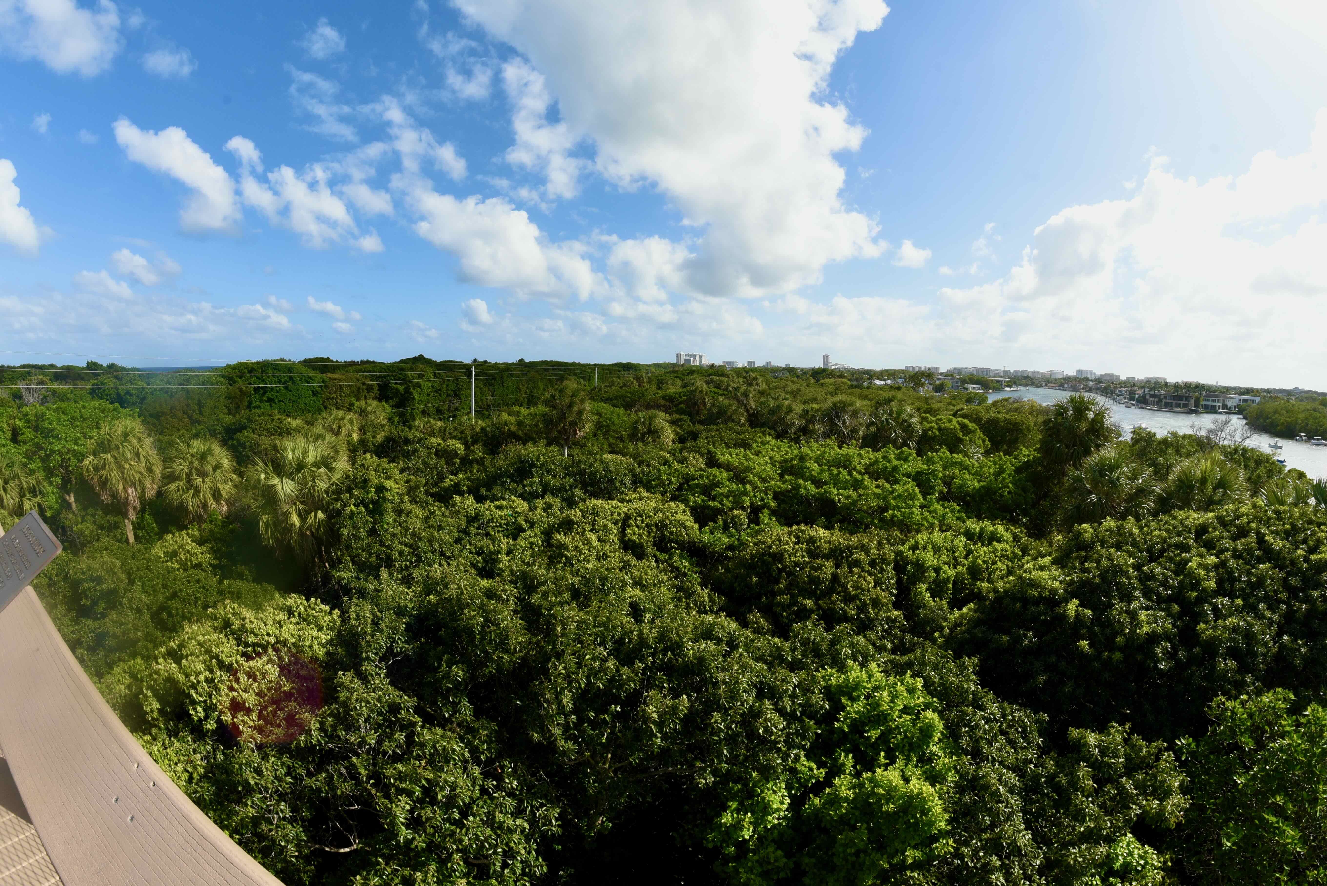 view atop tower