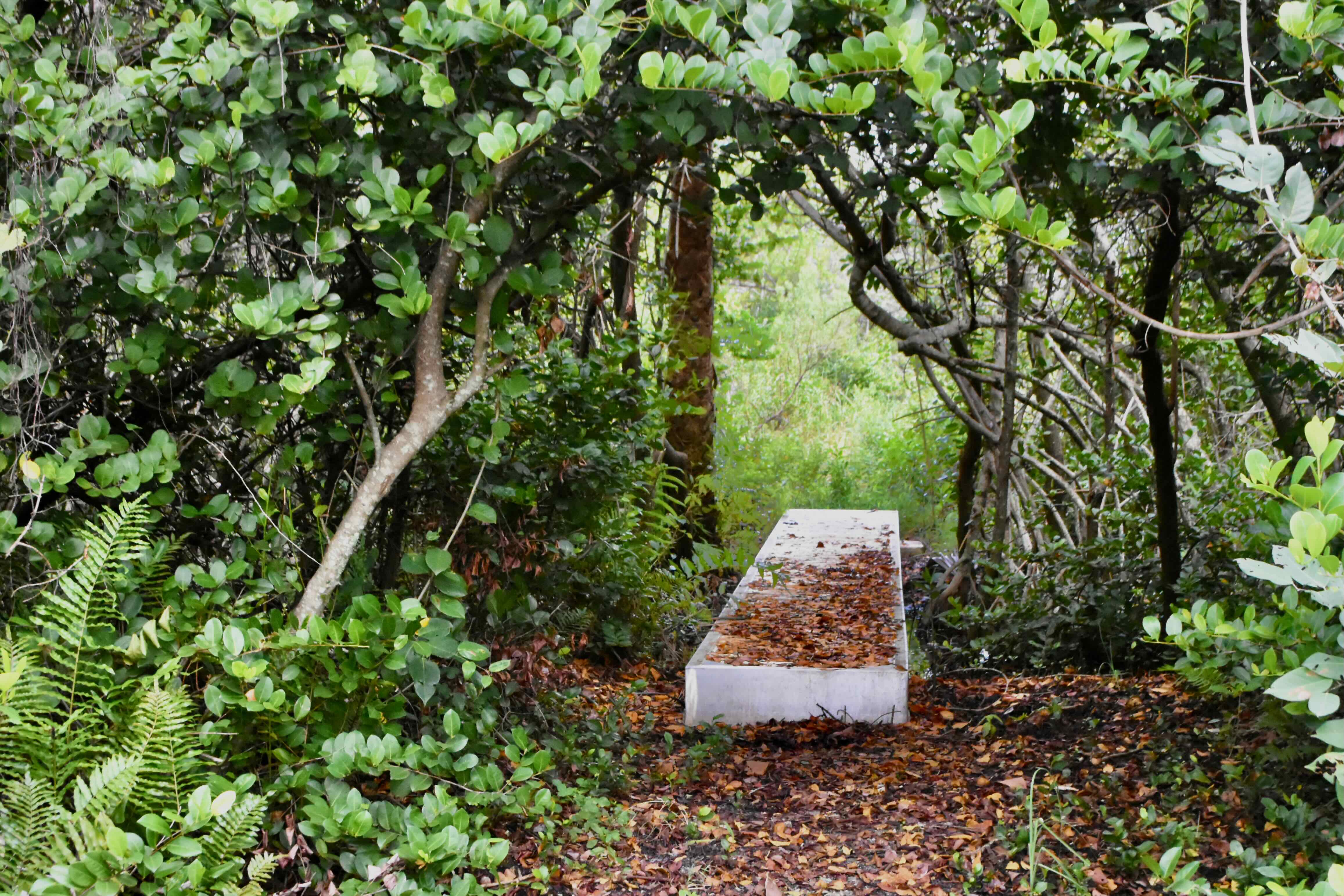 concrete bridge
